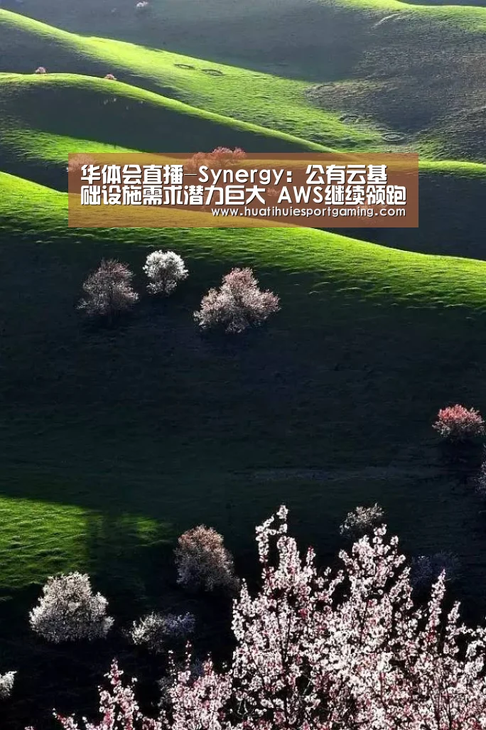 华体会直播