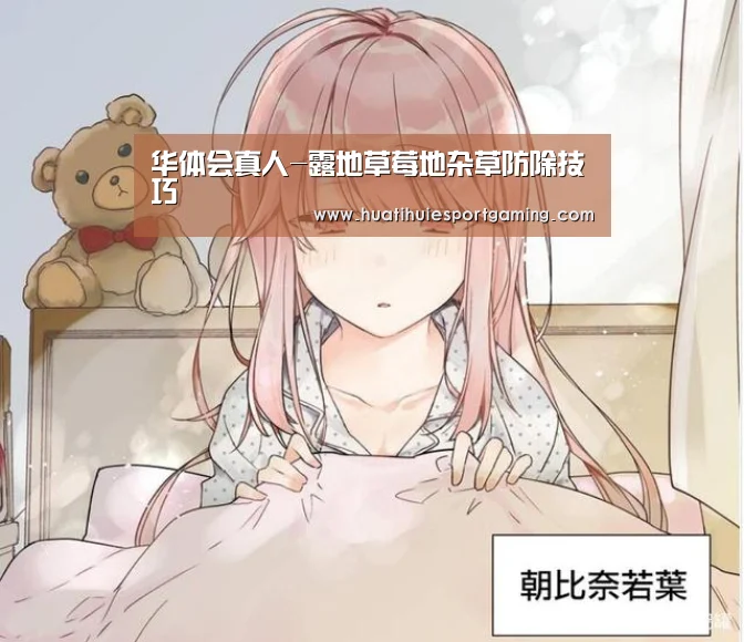 华体会体育