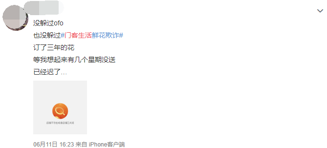户田惠梨香颜值变化 网友点评岁月痕迹明显像是老了许多:华体会真人(图3) 华体会体育