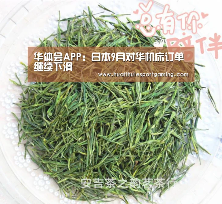 华体会真人