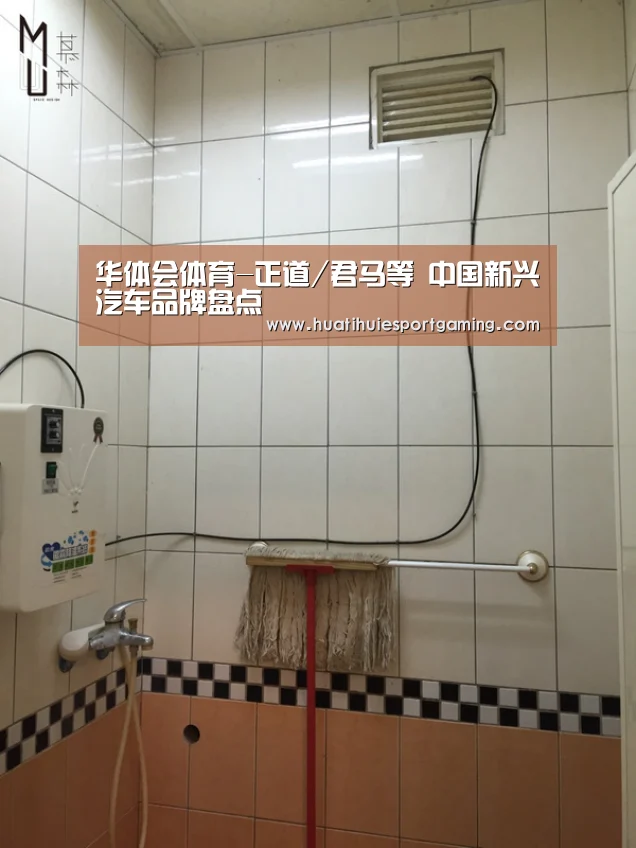 华体会体育-正道/君马等 中国新兴汽车品牌盘点